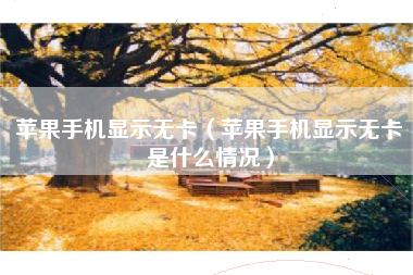 苹果手机显示无卡(苹果手机显示无卡是什么情况)